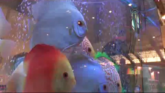 Kırmızı halı bu kez onların