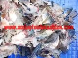 fish-flesh-separator