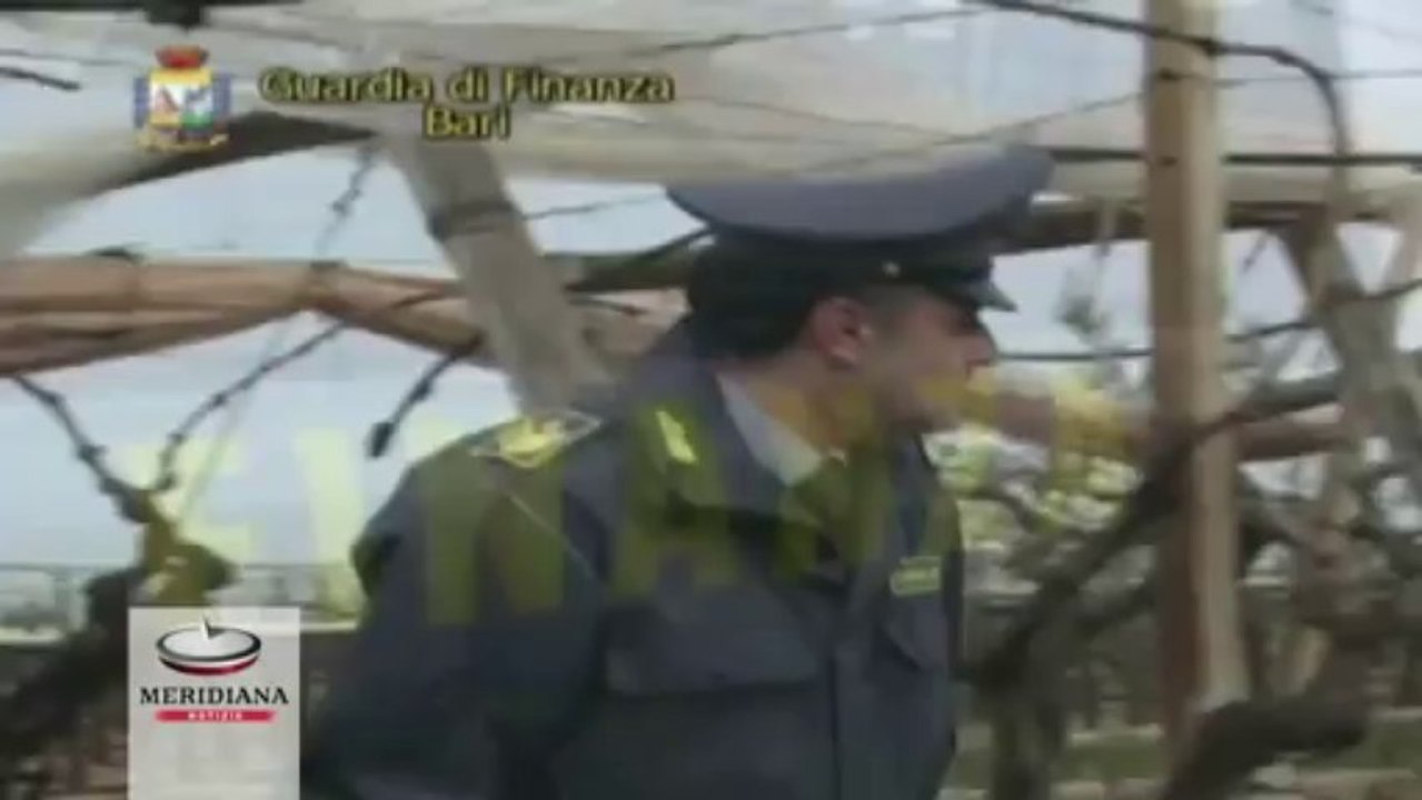 Truffa all'Inps, scoperti nel barese 618 falsi braccianti agricoli