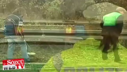 TIR’lara ateş edeni bildirene 100 Euro