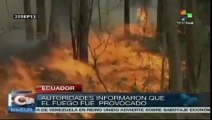 Autoridades ecuatoriana combaten los incendios forestales