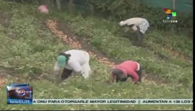 Mujeres campesinas de Colombia son las más pobres: ONU