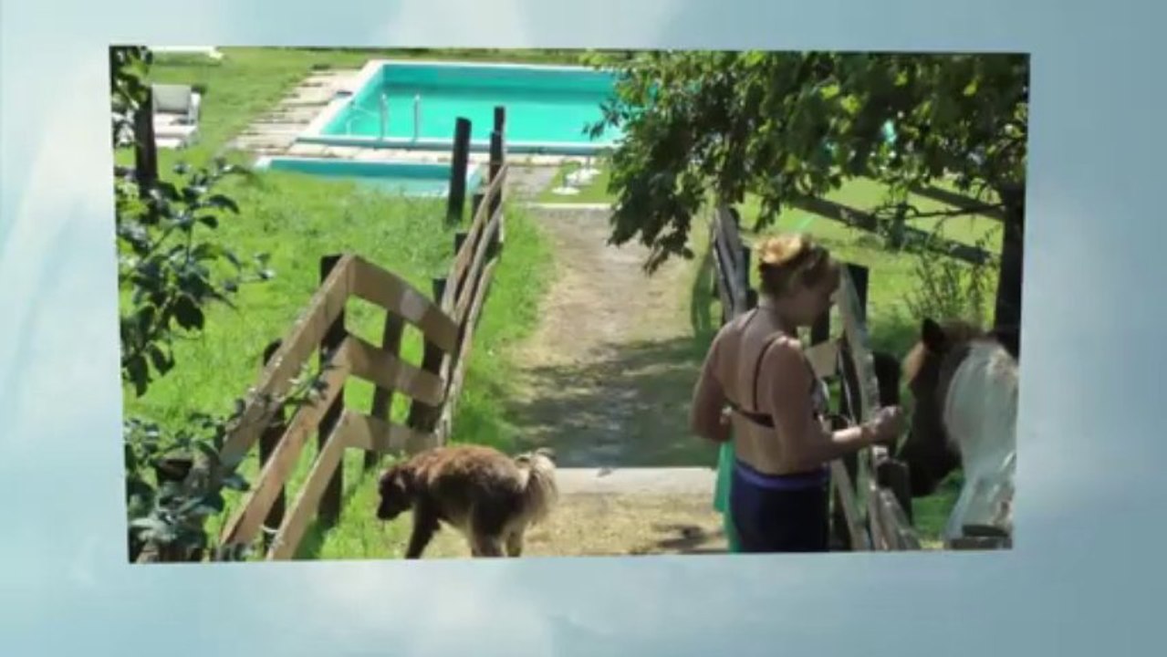 Pürcherhof - Erlebnis und Abenteuerbauernhof (Campingplatz und Pension)