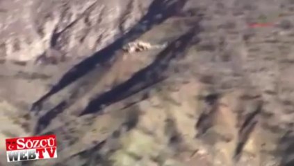 O hainler böyle öldürüldü