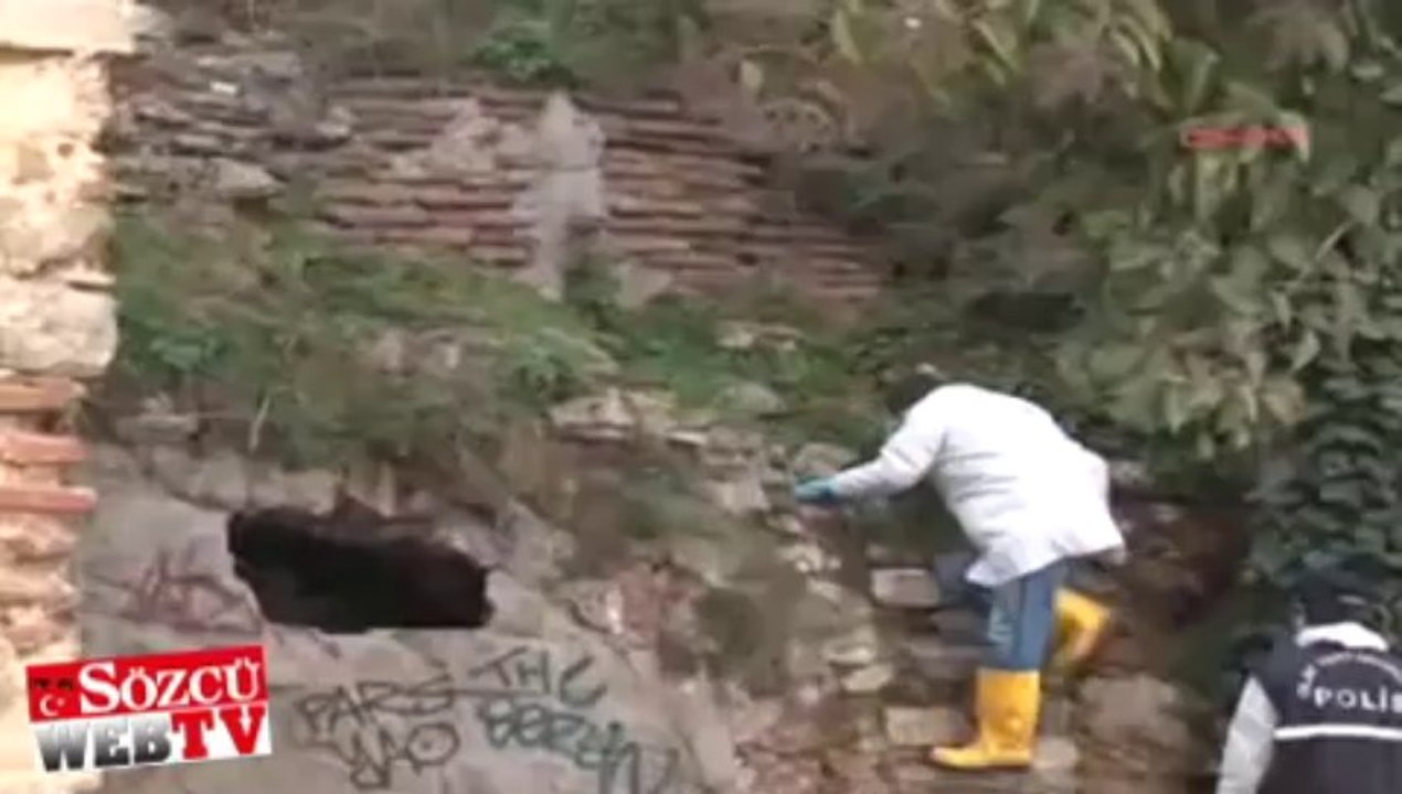 Sarai Sierra’nin cesedine ulaşıldı