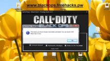 Call of Duty Black Ops 2 Aimbot Hack PS3 XBOX360 PC Prestige Hack