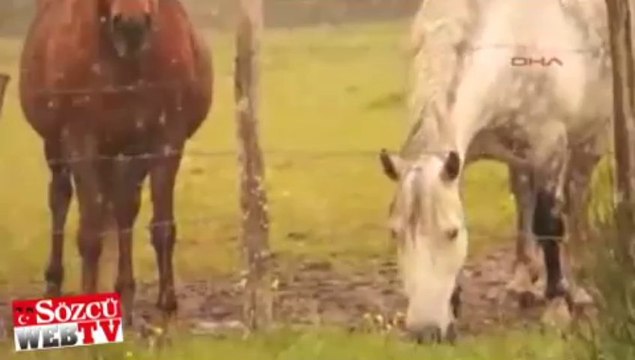 Mayıs ayında kar yağdı