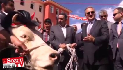 40 kitap okudu “Sarıkız’ı” kaptı