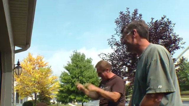 Classic VW BuGs 1954 Oval Window Ragtop Sunroof Beetle Garage Find