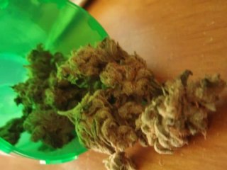 Buy Medical Marijuana online