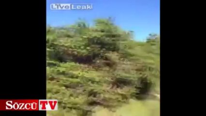 Zürafadan böyle kaçtılar