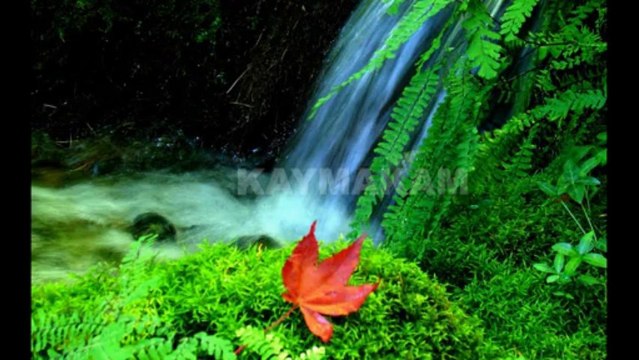 MÜSLÜM GÜRSES NERDEN ÇIKTI BU AYRILIK