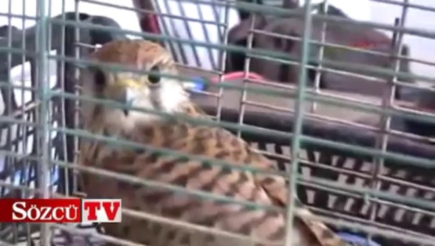 Kerkenez’e casus muamelesi