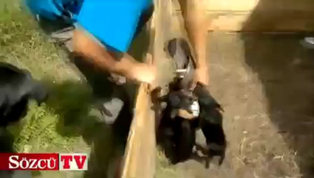 Gelmiş geçmiş en acımasız saldırı!