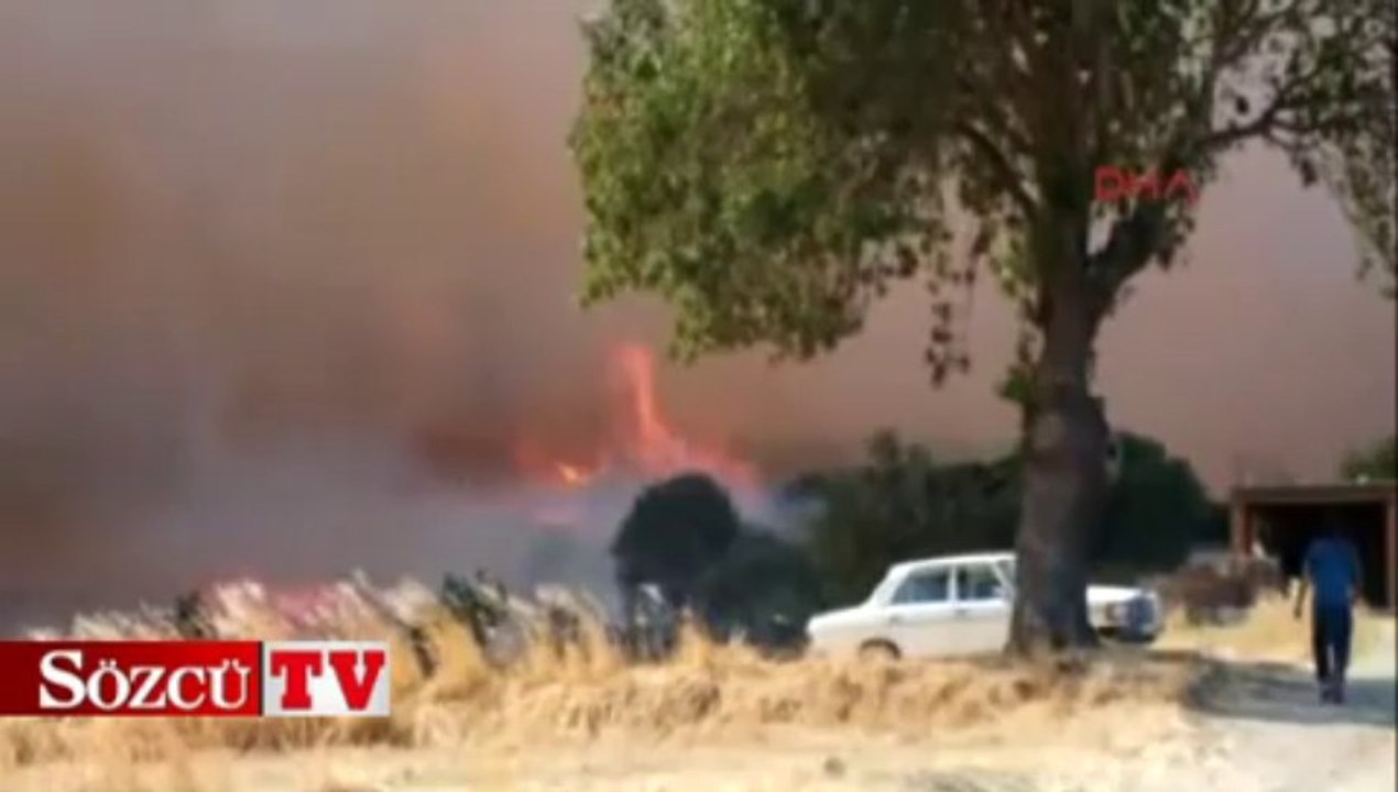 Alevler 5 hektar ormanı küle çevirdi