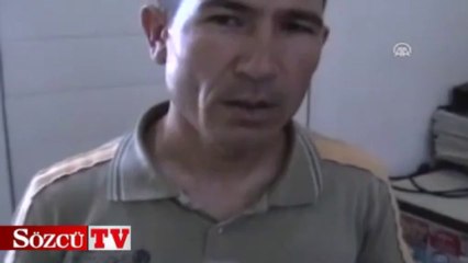 Yolda balık fosili buldu