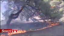 Mangal ateşi ormanı yaktı
