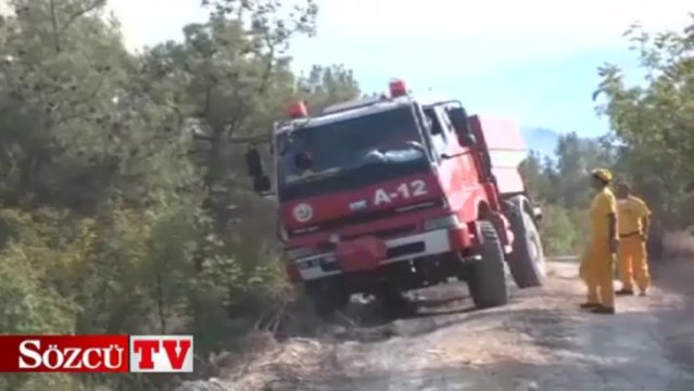 Balıkesir’de orman yangını yeniden başladı