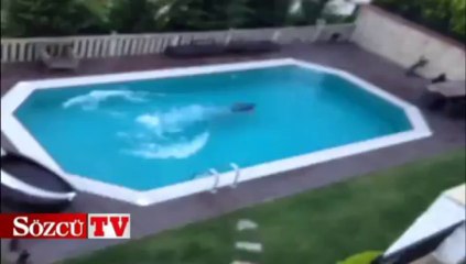 Demet Akalın hamile