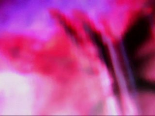 Zero-Project...Forest of the Unicorns