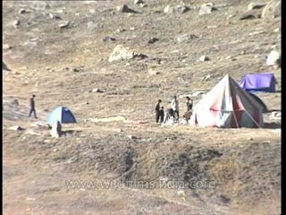 Base Camp tents below Rudragaira peak