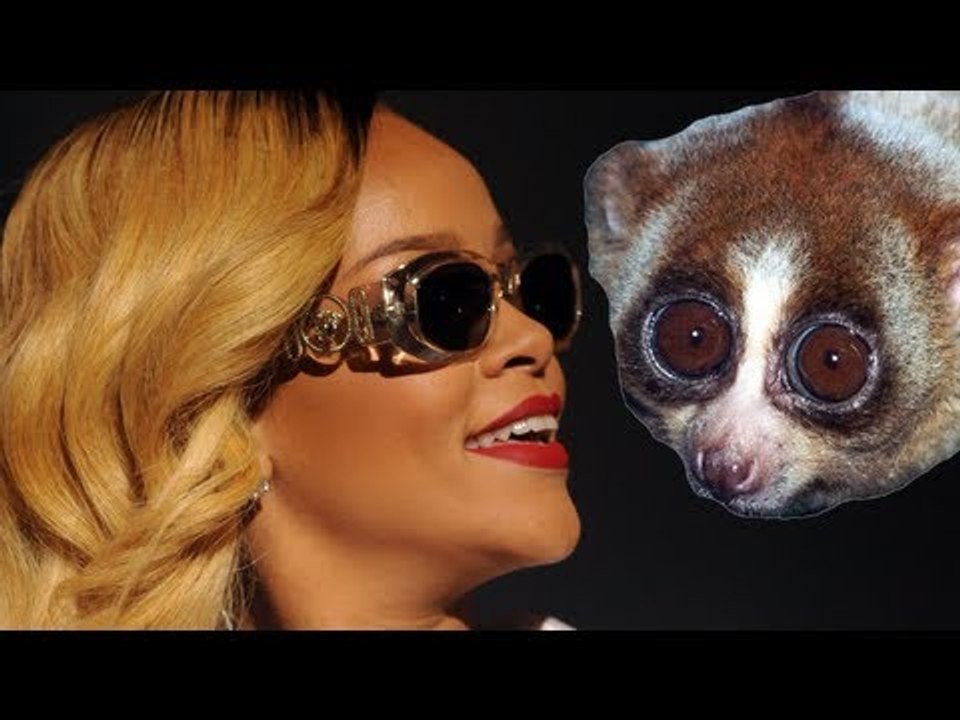 Rihanna Posts Selfie With Cute Slow Loris In Thailand Two Arrested