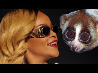 Rihanna posts selfie with cute slow loris in Thailand, two arrested