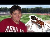 Fire ants kill teen football player at Paul R. Haas Middle School, Texas