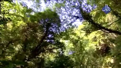 برنامج مشاهد 2  الشيخ نبيل العوضي الحلقة 9