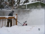 snow blowers review Toro 1800 Electric Curve Snow Thrower