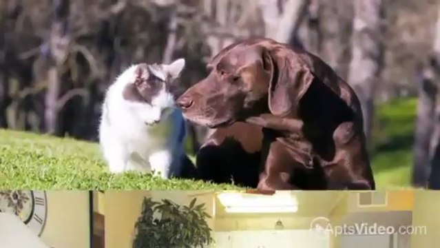 Renaissance Terrace Apartments in Long Beach, CA - ForRent.com