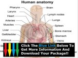 Human Anatomy Physiology Course Objectives   Anatomy Human Mind Course