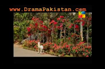 Mein Hari Piya Episode 55 - 19TH April 2013