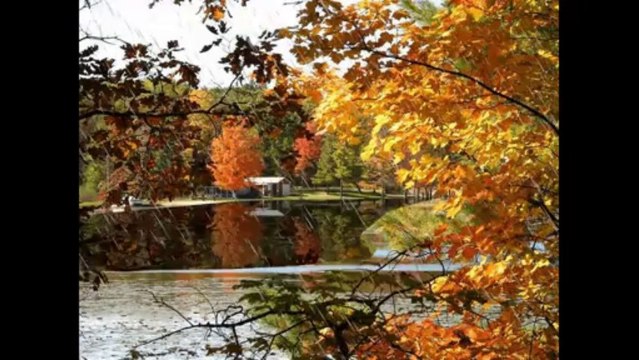 Музыка дождя... ...(музика Павел Панин)