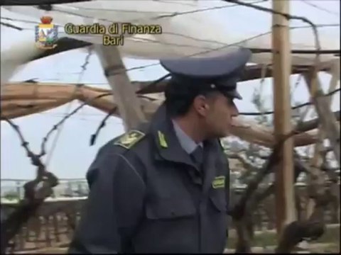 Maxi truffa all'Inps, scoperti 618 falsi braccianti agricoli