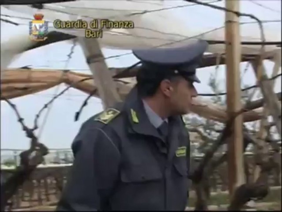 Maxi truffa all'Inps, scoperti 618 falsi braccianti agricoli