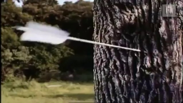 Sacré Robin des Bois ( bande annonce VO )