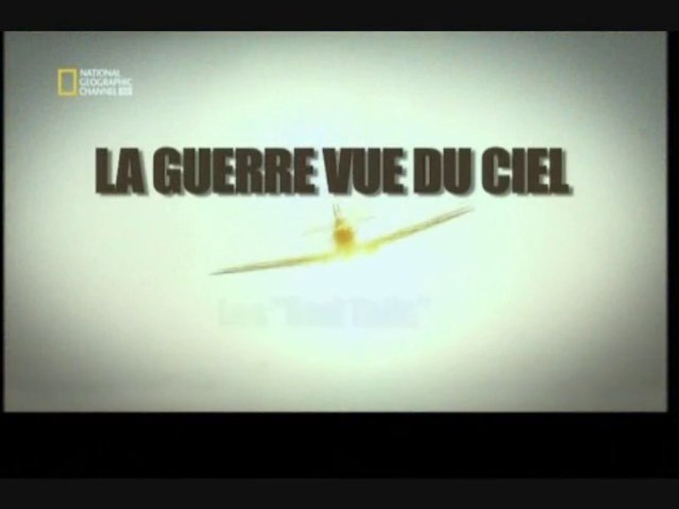 La guerre vue du ciel [ Les " Red Tails " ]