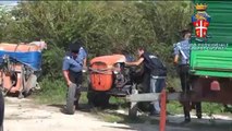 Mondragone (CE) - Rapinavano aziende agricole, 5 arresti (27.09.13)