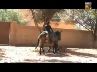 AMOUDOU DBA HAJJ  s Tmizar n Imazighen - 12 ème Partie  de Agadir à Imi n Tanout 10  Sep 2013