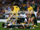 Watch Springboks vs Wallabies Online