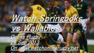 Rugby Coverage Springboks vs Wallabies On 28 Sep