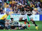 Watching Here Online Coverage Springboks vs Wallabies