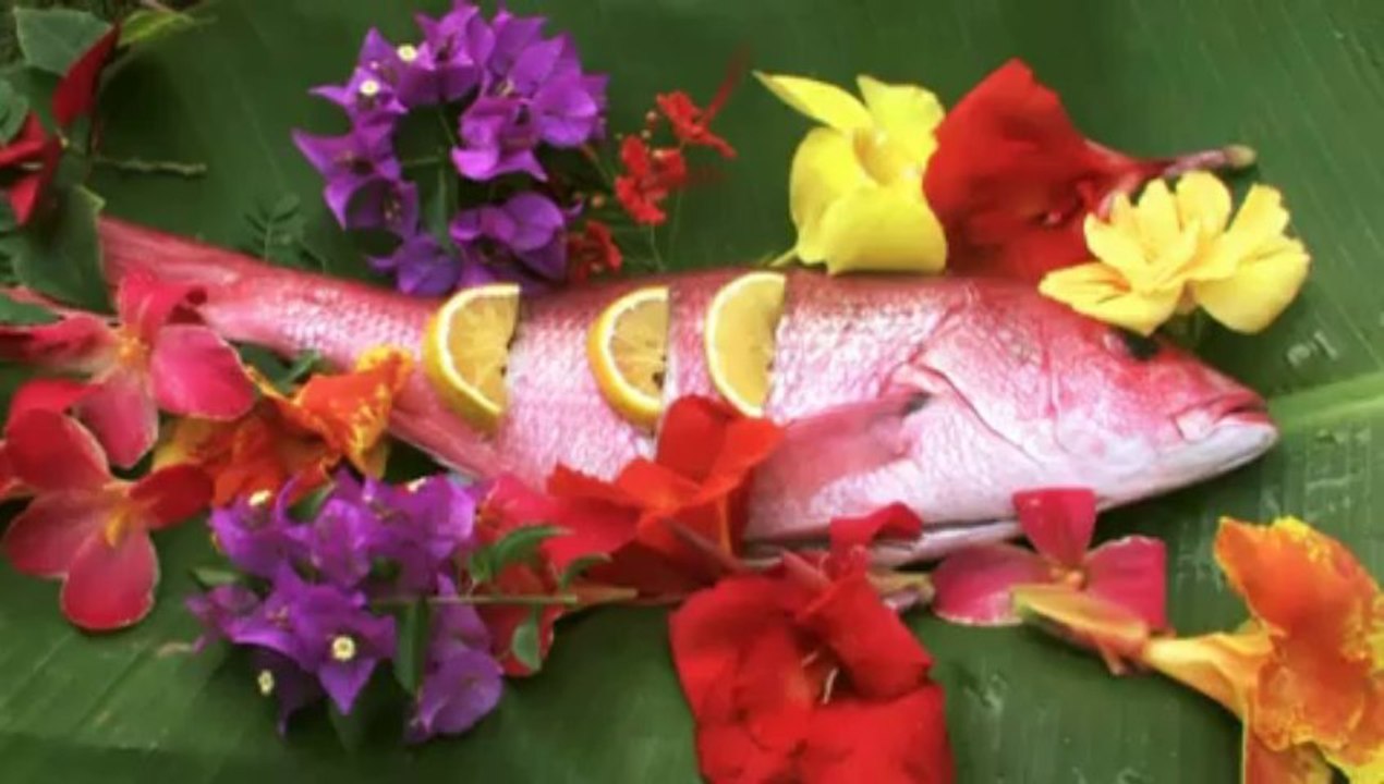 Palm Thatched Bungalows Are Perfect Manzanillo Vacation Rentals