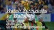 Live Rugby Springboks vs Wallabies