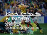 Where Watch Online Rugby Springboks vs Wallabies