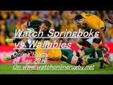 See Online Rugby Springboks vs Wallabies