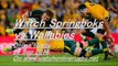 Live Bing Rugby Springboks vs Wallabies