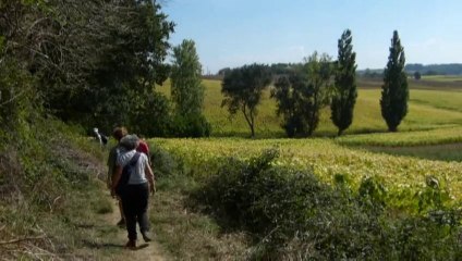 De côteaux en sous-bois