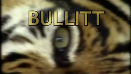 BA BULLITT AU 69 v.2